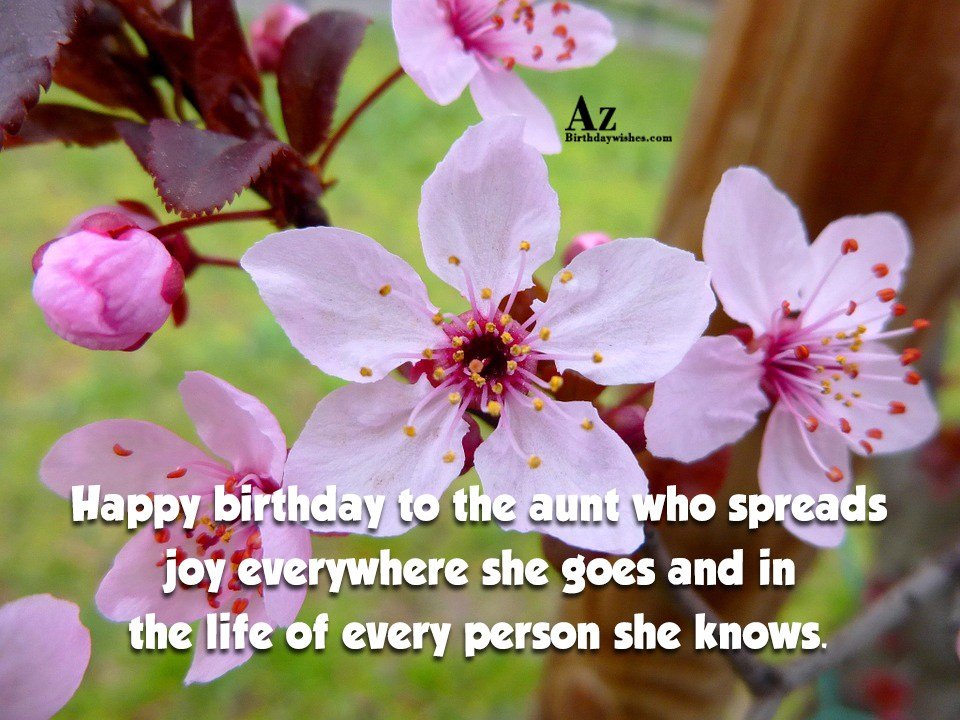 Happy birthday to the aunt who spreads joy… - AZBirthdayWishes.com