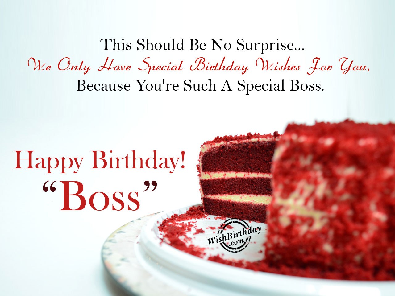 Birthday Wishes For Boss